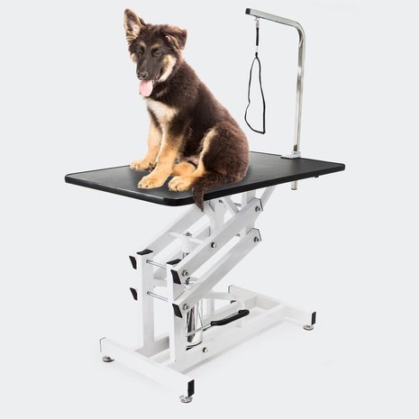 Hydraulisch Verstelbare Honden Trimtafel Met Aanlijnoptie - Trimtafels voor honden - Zwart -108 x 60 cm