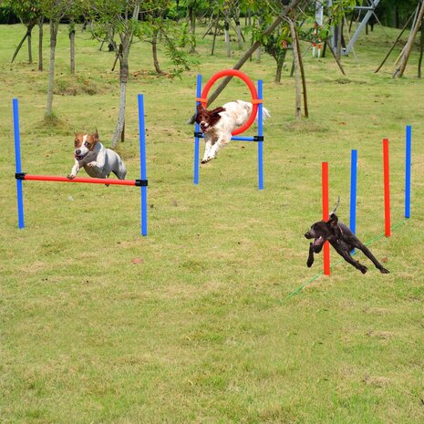 Honden agility set - Agility voor de hond - Agility - Honden parcours - Honden training - Rood/Blauw