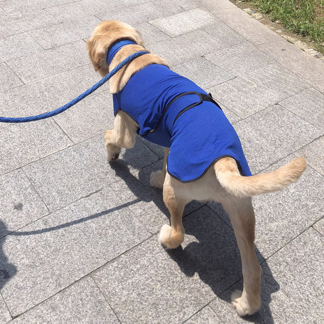 Honden koelvest - Honden - Hond - Polyester -  Blauw  - &Oslash;56 x 60 cm