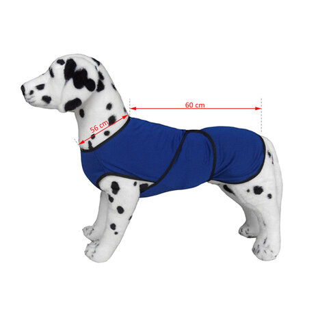 Honden koelvest - Honden - Hond - Polyester -  Blauw  - &Oslash;56 x 60 cm