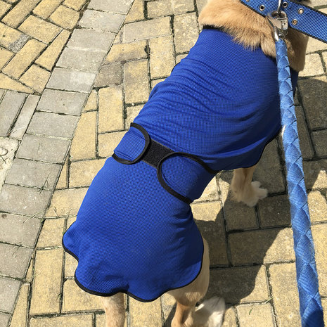 Honden koelvest - Honden - Hond - Polyester -  Blauw - &Oslash;50 x 50 cm