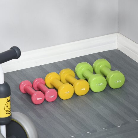 Dumbbell set - Aerobics set - Dumbbells - Met koffer - 6 gewichten