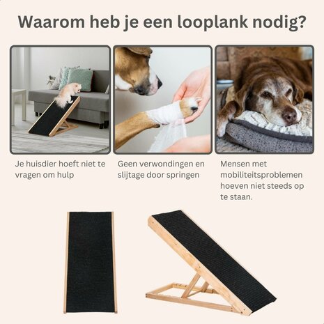 hondenloopplank