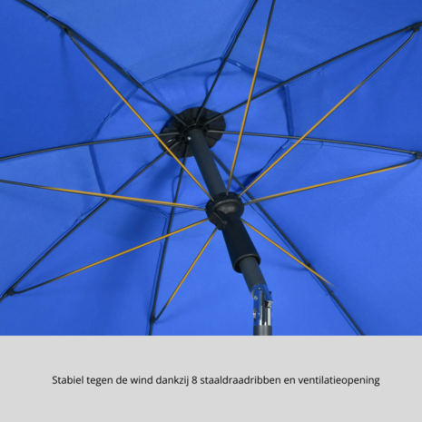 Parasol 