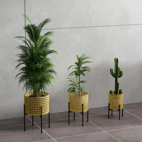 Plantenbakken 