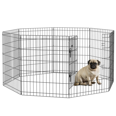 Puppyren