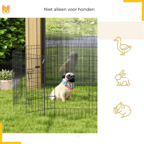 Puppyren
