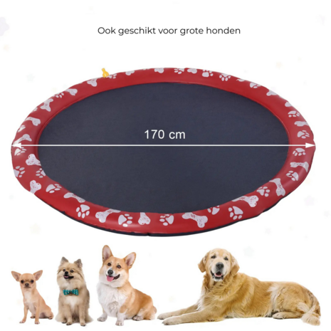 Hondenzwembad