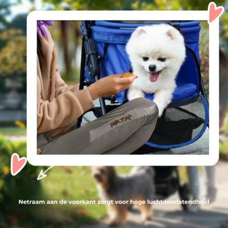 Hondenbuggy 