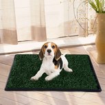 Hondentoilet indoor - Puppy toilet - Puppy zindelijk maken - medium 64x51 cm Hondentoilet indoor - Puppy toilet - Puppy zindelijk maken - medium 64x51 cm